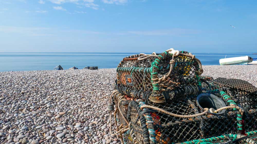 Budleigh Salterton