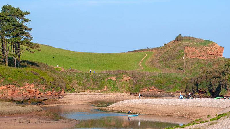 Dogs at Ladram Bay